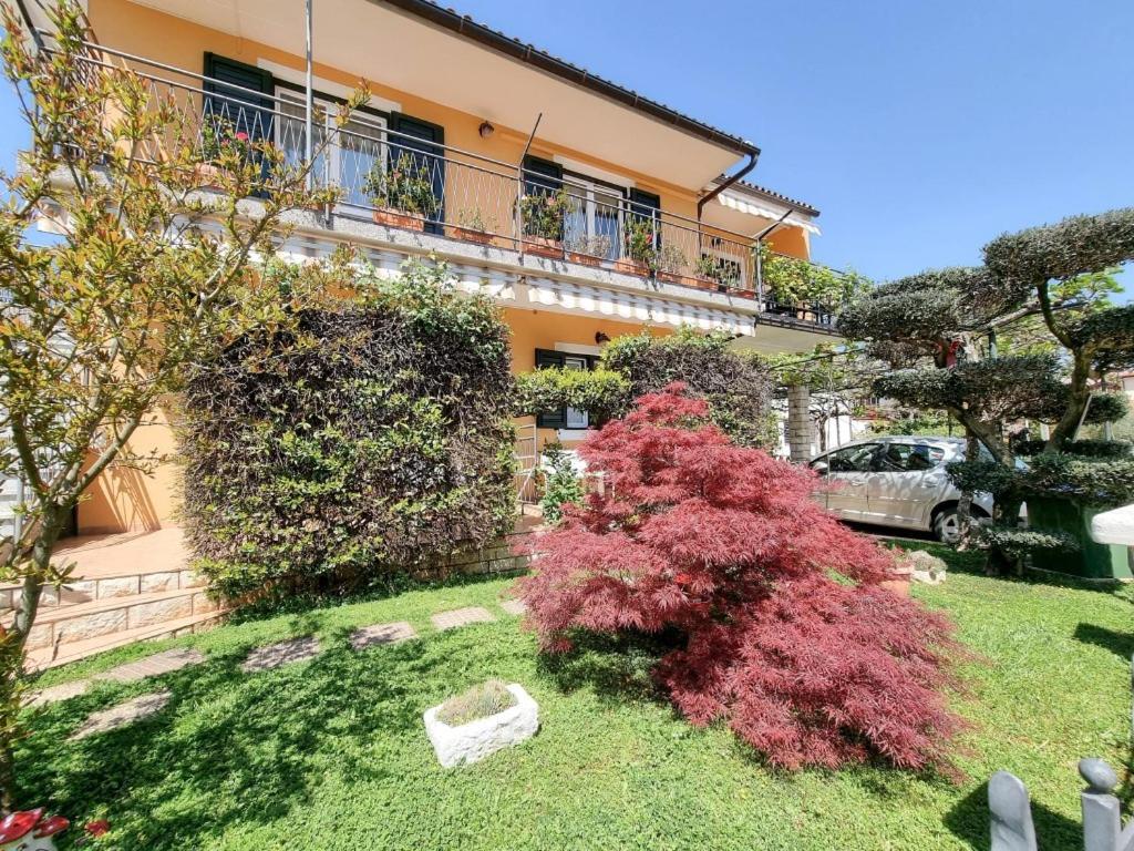 Alma One Apartment Novigrad  Ngoại thất bức ảnh